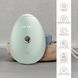 Электронный освежитель для увлажнения лица GESKE Facial Hydration Refresher 4в1 green HB0173 фото 3