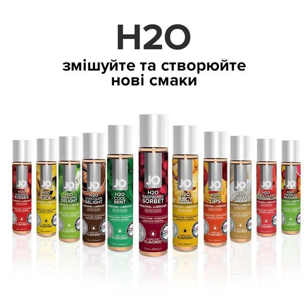 Оральний лубрикант System JO H2O Flavors &mdash; Raspberry Sorbet (Малиновий сорбет), 120 мл SO1671 фото