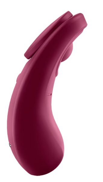 Смарт вибратор в трусики Sexy Secret цвет: бордовый Satisfyer (Германия) IG003351 фото