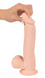 Реалистичный фаллоимитатор Sexbay на присоске (16 см x 5,5 см) BYYJ-035 фото 4